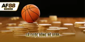 Cá Cược Bóng Rổ AF88 - Cập Nhật Full Các Trận Đấu Kịch Tính