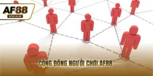 Cộng Đồng Người Chơi AF88 - Nơi Kết Nối Đam Mê Cá Cược
