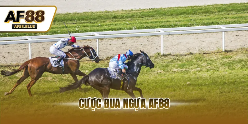 Cược Đua Ngựa AF88 - Đặt Cược Kịch Tính Với Odds Tới 0,92