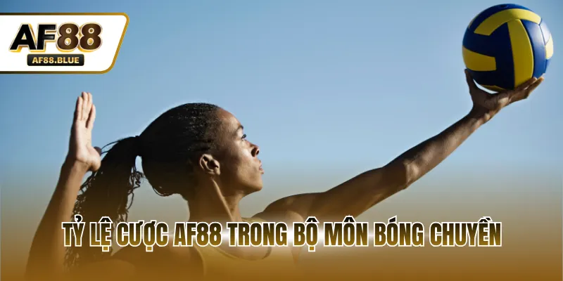 Tỷ lệ cược AF88 trong bộ môn bóng chuyền